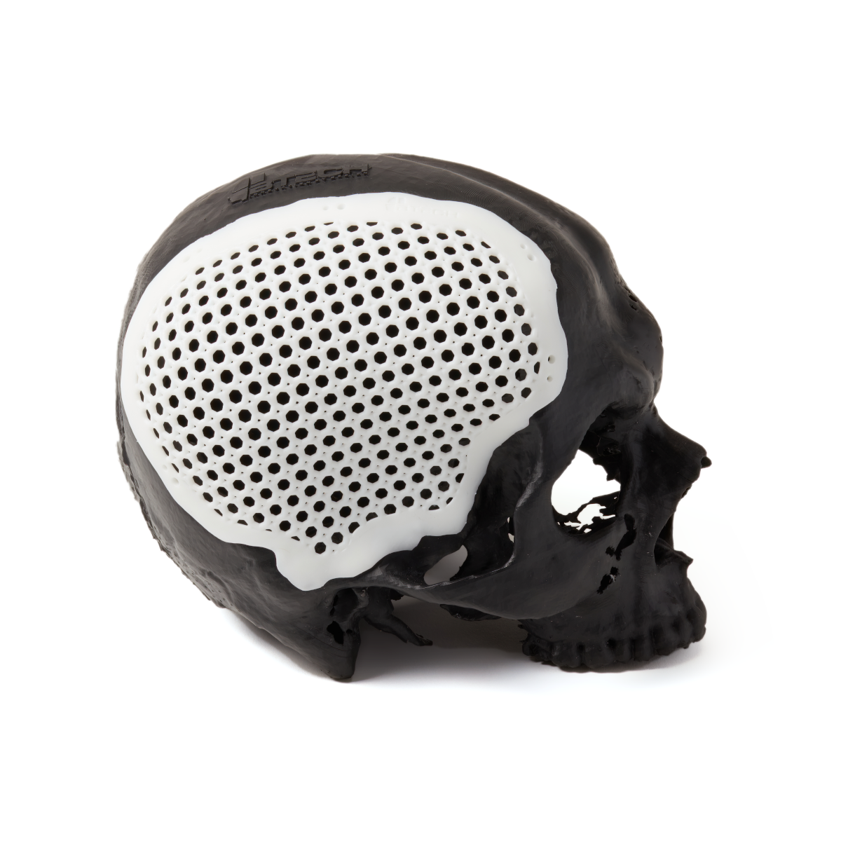 Formlabs BioMed White Resin — supplier product image