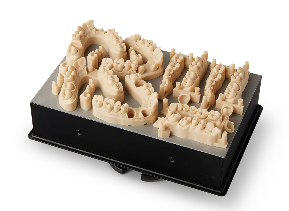 Formlabs Precision Model — supplier product image