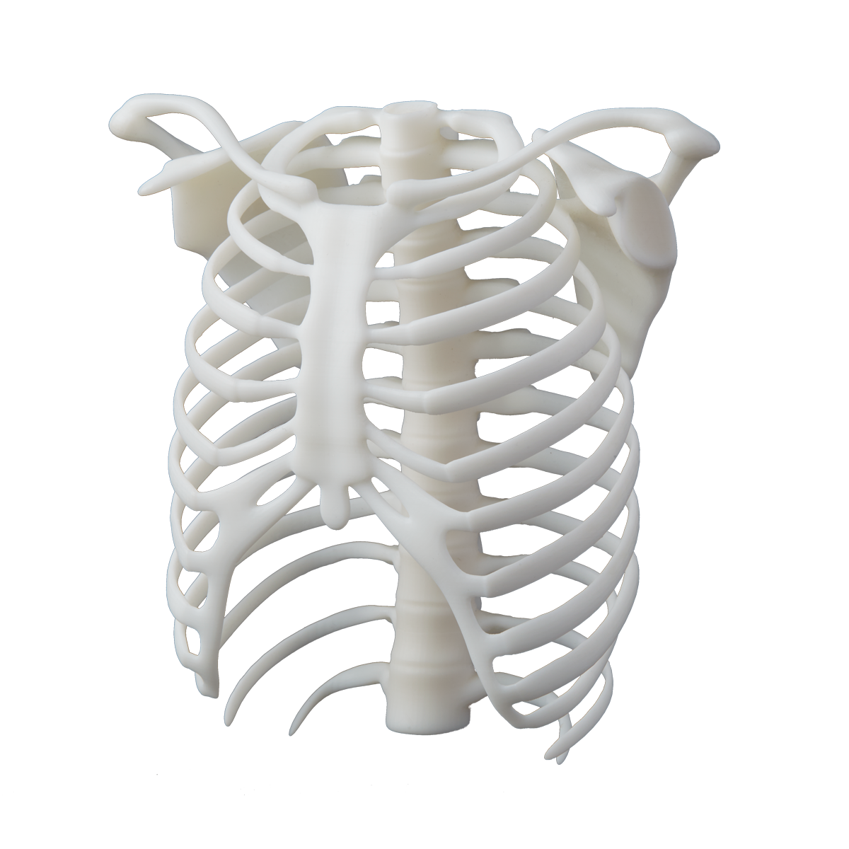 Formlabs White Resin V4.1 — supplier product image